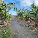 Holiday home Dely Tazacorte