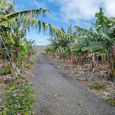 Holiday home Dely Tazacorte
